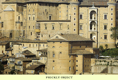 urbino exterior west
